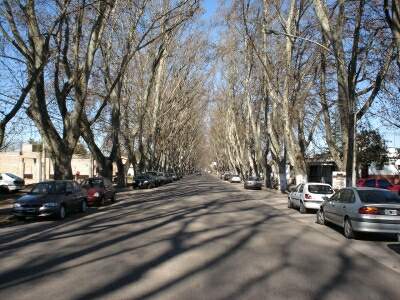 Calle Sarmiento - Colonia Caroya